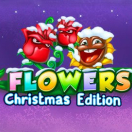 Flowers Christmas Edition